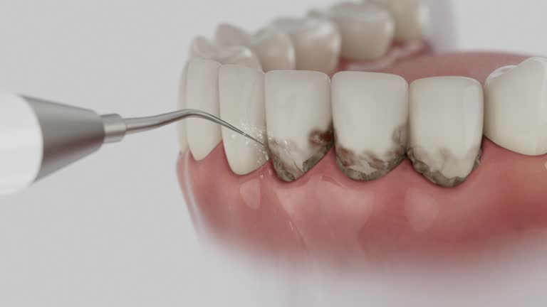 Reliable Dental contractor in Amory, MS by Dentist Open Now